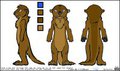 My Fursona – Tagg The Otter Reference Sheet