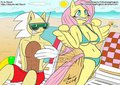 Commission: Flint slapping to Fluttershy