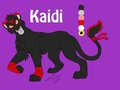 My Second Fursona, Kaidi