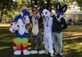 Tracon 9 fursuiting in 2014