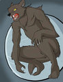 A Werewolf at Midnight
