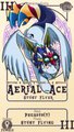 Character Card : Aerial Ace by vavacung