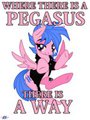 Where There is a Pegasus