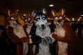 Eurofurence 15 Pic One - Wuffsies  by Fangz