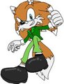 Geronimo the Hedgefox