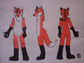 Fursuit Design