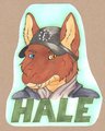 Hale Badge