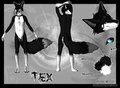 Commission: Tex Ref  by Deazea