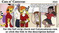 Cats n Cameras Strip #243 - Geography Class ... Is always better with naked husky's