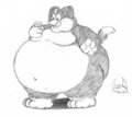 a fat collie! <3