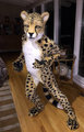 Primal Visions Stretch-Fur Cheetah Suit (2015, for Spottacus) by spottacus