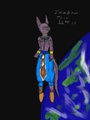 Beerus the Destroyer