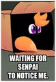 Waiting for Senpai to notice me.