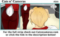Cats n Cameras Strip #244 Color Confusion