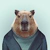HerrCapybara