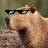 MisterCapybara
