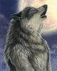 shadowwolf1