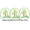 cayxanhminhhieu