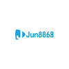 jun8868net