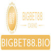 bigbet88bio