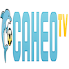 caheotvprolink