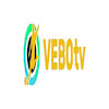 africanethnomedicinesn