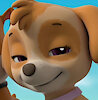 Dorkie