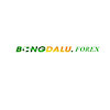 bongdaluforex