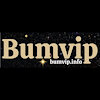 bumvipinfo