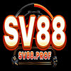 sv88prof