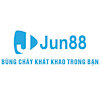 jinjun88com