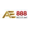 ae113net