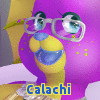 Calachi
