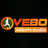 vebotvaudio