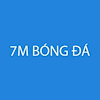 7mbongdawin