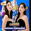 cat888mn