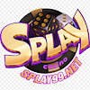 splay99net