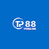 tp8866com