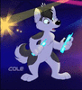 ColeHusky