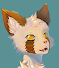 Noxara