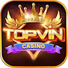 topvinuscom