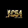 c54skin1