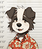 RoniTheDog