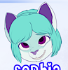 SophiaTheKitten