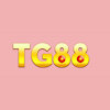 tg88appnet