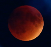 CrimsonLuna