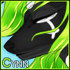 Cynn