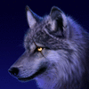 Silverwolf1