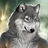 kennawolf