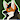 JDWolf